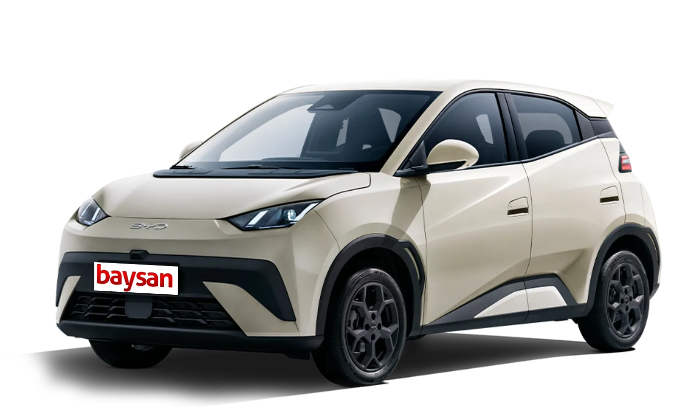 BYD Dolphin Surf